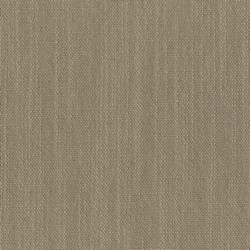 https://b2b.alhambrafabrics.com/img/Collections/ALHAMBRA/TELAS JPG 250/BARRO/BARRO-06.jpg